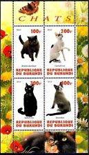 Gatti British Shorthair Cornish Rex Selkirk ciaspole animali m/s MNH