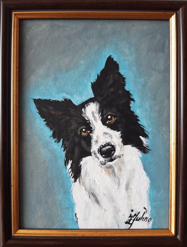 Border collie dipinto - border,