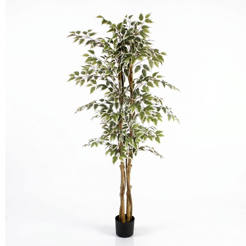 Albero ficus artificiale - albero, di
