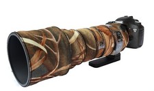 Sigma 150 600mm F 5 6.3 Dg OS