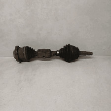 46307687 Semialbero ant