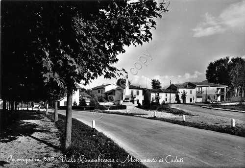 Cartolina peveragno viale - cartolina,