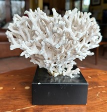 Elegante scultura in corallo