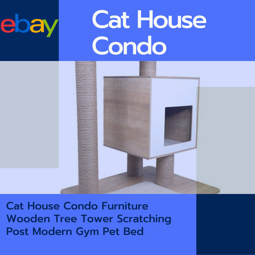 Gatto casa condominio mobili - casa,