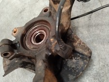 fusello anteriore destro