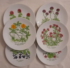 Piatti Porcellana Bareuther Waldsassen Bavaria Piante Medicinali Vintage