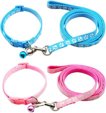 Cane, Collari E Guinzaglio