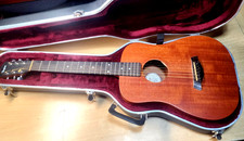 Beautiful Taylor Acoustic