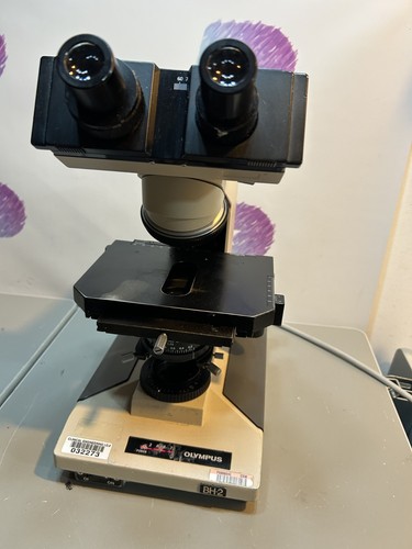 Microscopio olympus bhtu - bh-2,