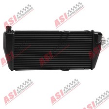 Radiator Fit Kart Rotax Max