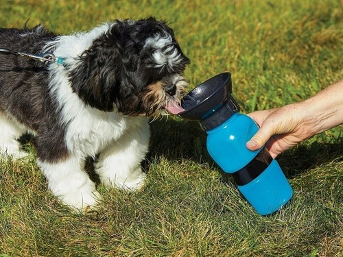 Dispenser acqua portatile per - dispenser,
