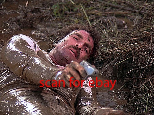 Magnum tom selleck foto - pi,