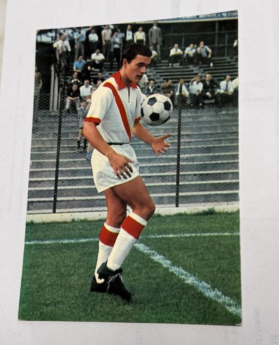 Vicenza calcio - l.r.,