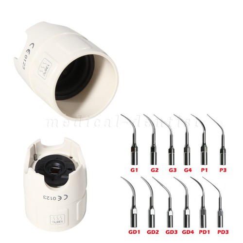 Chiave endo dentale - , picchio