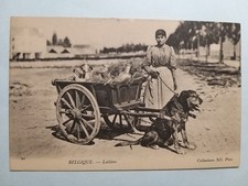 Belgio - Laitière flamande -