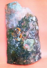 Tegole antiche di terracotta