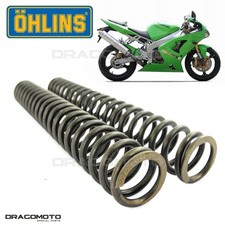 KAWASAKI ZX 6 R R 2003 molle