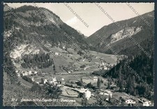 Belluno caprile panorama foto - belluno,
