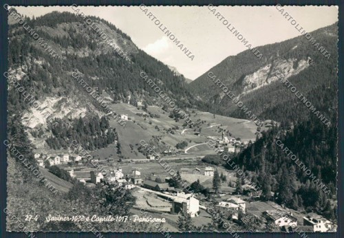 Belluno caprile panorama foto - caprile,