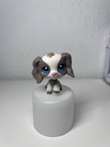 Little pet shop - pet, rare