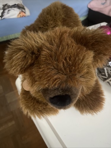Orso sigikid peluche - 50,