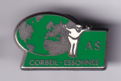 Rare pins pin - pins, sport