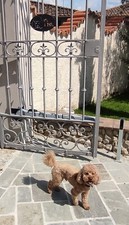 RINGHIERA FERRO BATTUTO