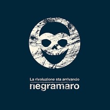 NEGRAMARO - La Rivoluzione Sta