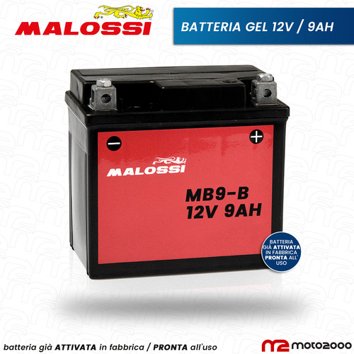 Batteria gel attivata malossi - batteria,