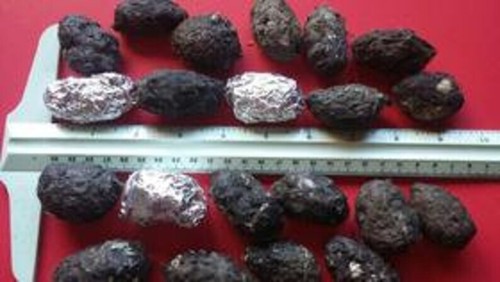 Confezione pellet gufo - confezione, di