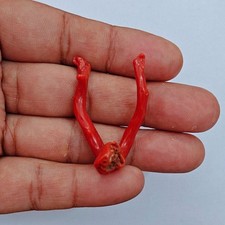 Ramo di corallo rosso vintage