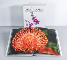 ⚜️ LIBRO DEA FLORA ANDREA