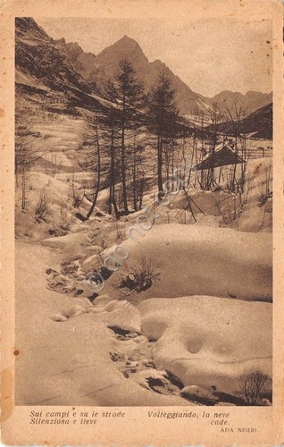 Cartolina alberi con - alberi, neve