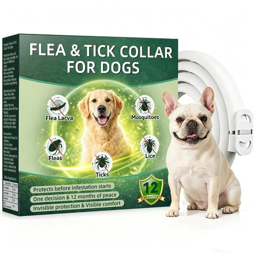 Collare anti pulci zecche - anti,