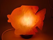 Lampada di sale dell' Himalaya