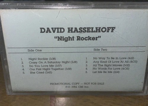 David hasselhoff night rocker - hasselhoff,