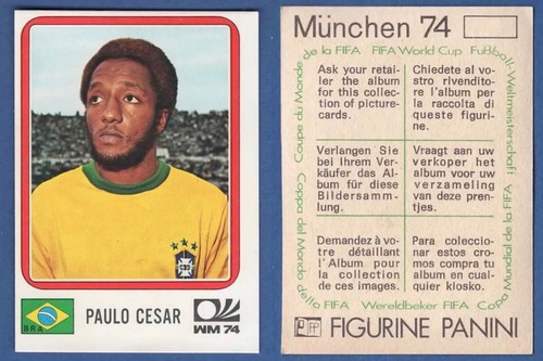 Figurina calciatori panini - figurina,