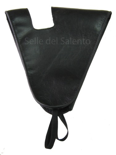 Parapaltò paraveste