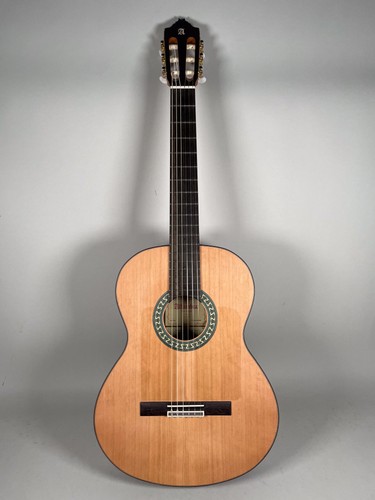 Chitarra acustica corde in - acustica, a