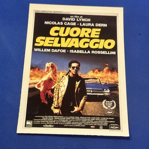 Cuore selvaggio locandina - selvaggio,