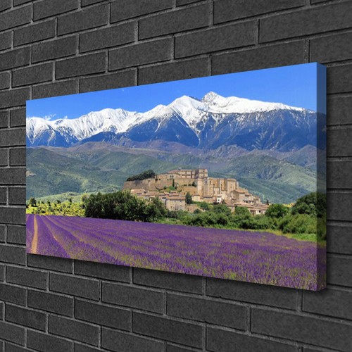 Quadri tela 100x50 - 100x50, quadro