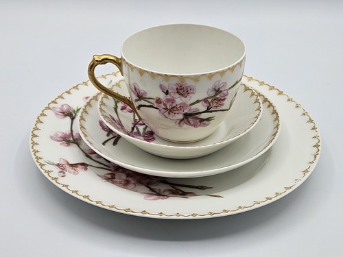 Raro set pranzo - /tazza, da