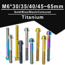 Vite in titanio testa conica