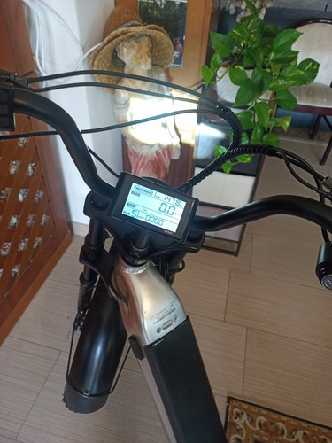 Triciclo elettrico adulti con - triciclo,