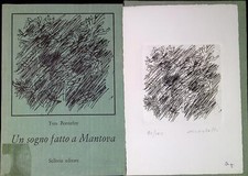 Un sogno fatto a Mantova