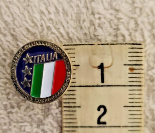 11206 spilla federazione - spilla,