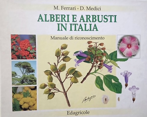 Alberi arbusti italia - arbusti, in