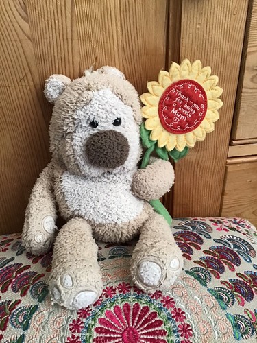 Peluche peluche orsacchiotto