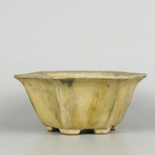 Vaso per bonsai giapponese