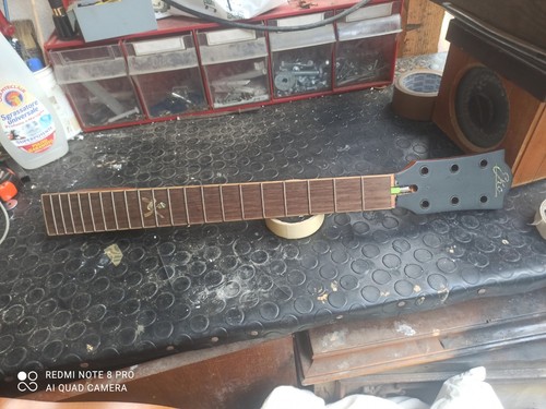 Eko mia chitarra - eko,